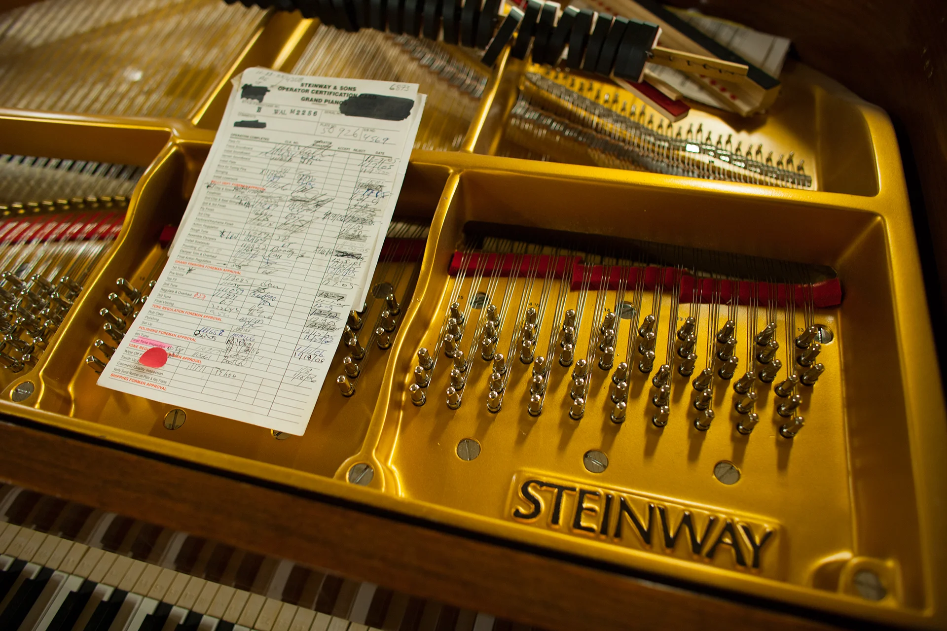 YM5S1677.jpg