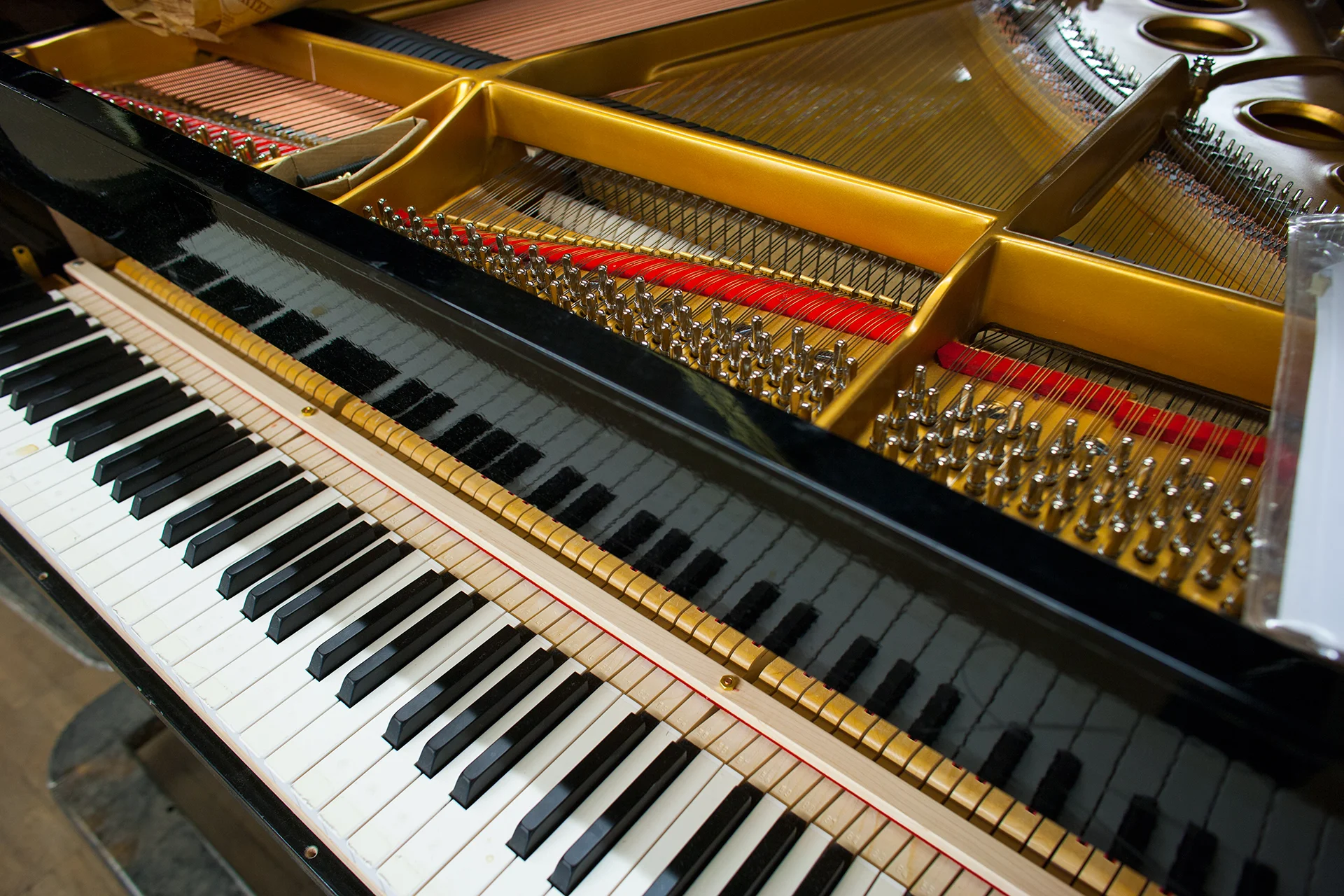 YM5S1711.jpg