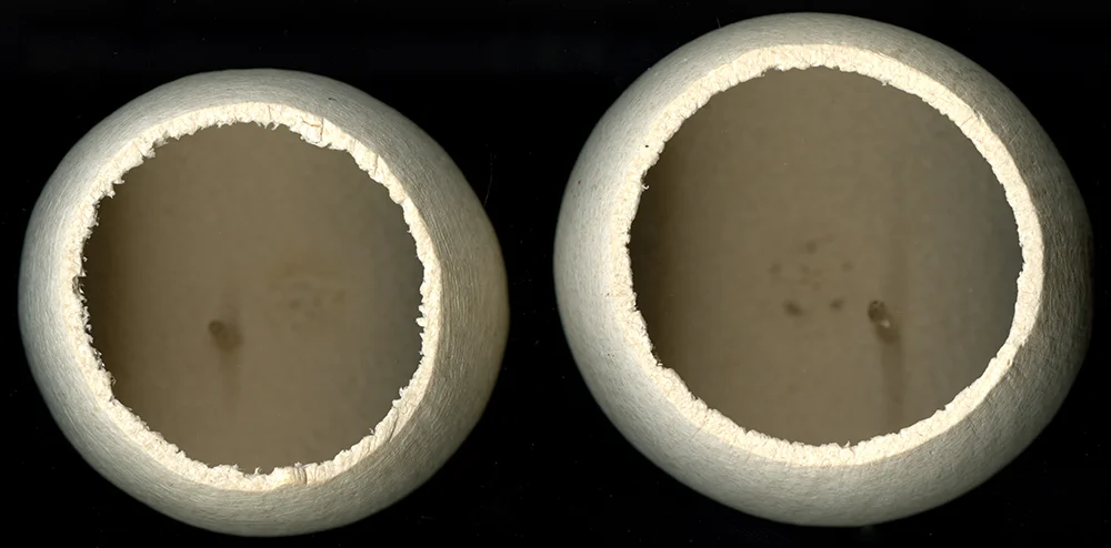 study_texture_organic_bulb03.jpg