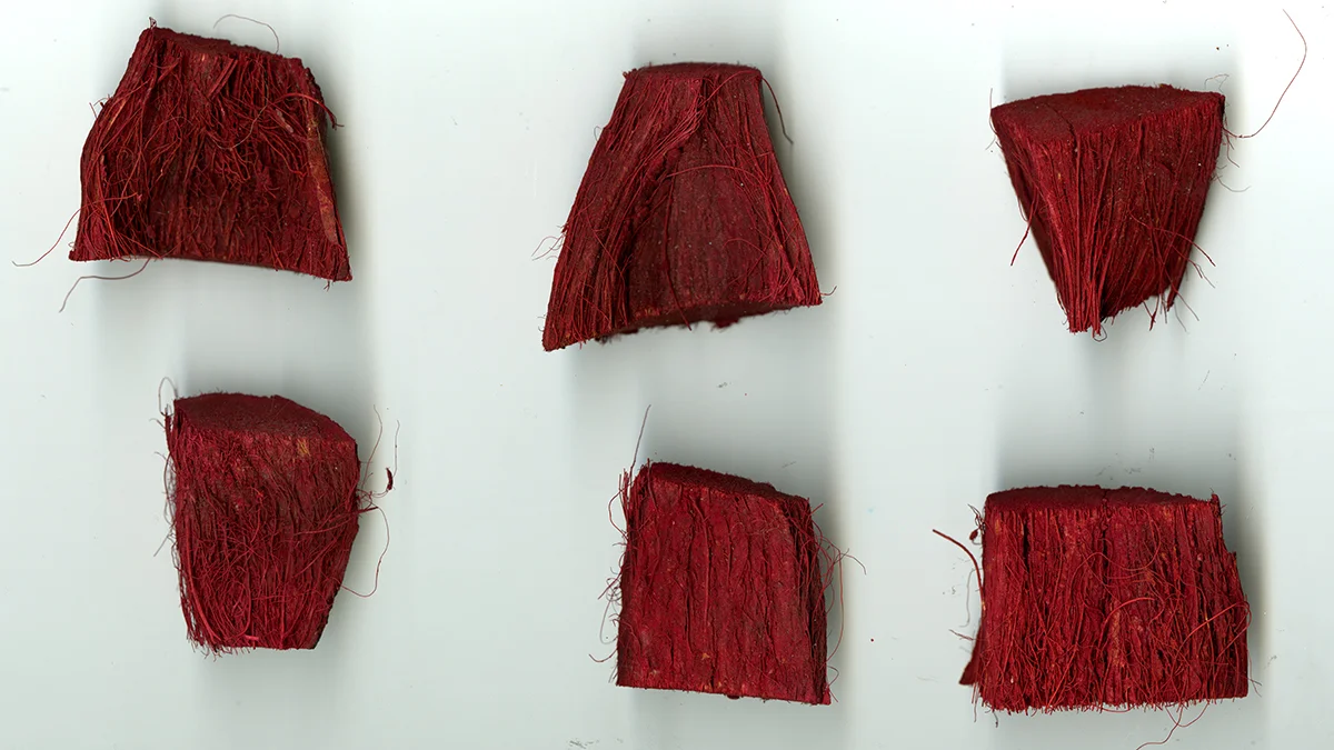 study_texture_redwood.jpg