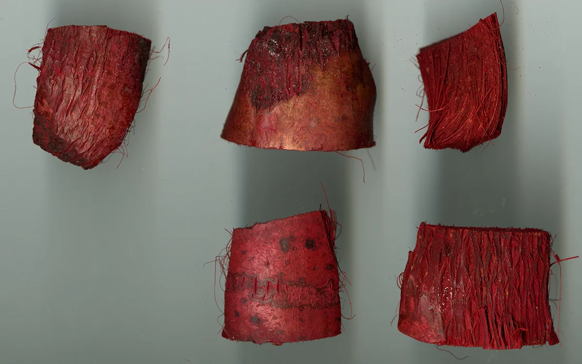 study_texture_redwood2.jpg