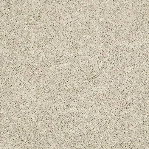 Secondary Bedroom Carpet Stainmaster Sand