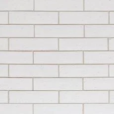 master shower wall tile Ivory Brick Wall Tile Liven up any room with this rectangular Ivory Brick Wall Tile in light beige. This rectangular-shaped tile decorative creates an artful break in patterns. This tile decorative is slightly textured and works well with any design. Tile decoratives are an inexpensive way to add style to your home. With so many different designs and colors to choose from, you'll find exactly what your home needs.