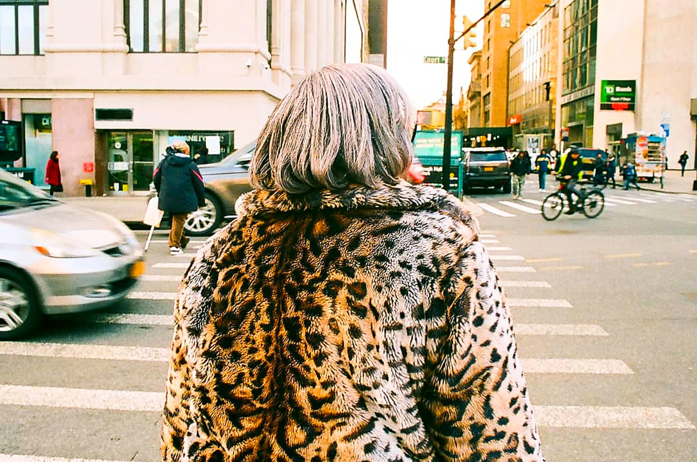 Borough Hall, Brooklyn Heights. 2019
