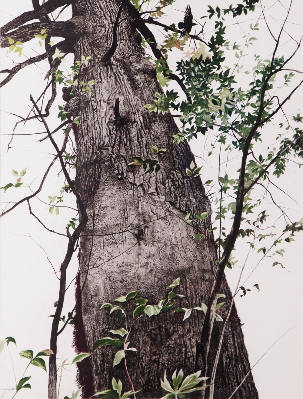 wyeth-2.jpg