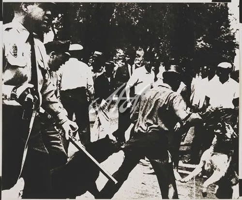 Andy_Warhol_AW027_birmingham_race_riots_3.jpg