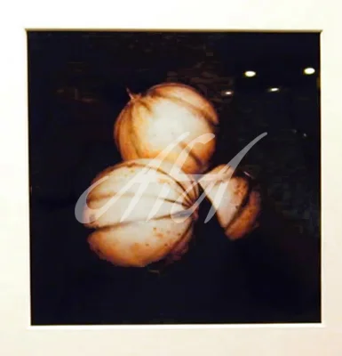 Donald Sultan - Melons watermark.jpg