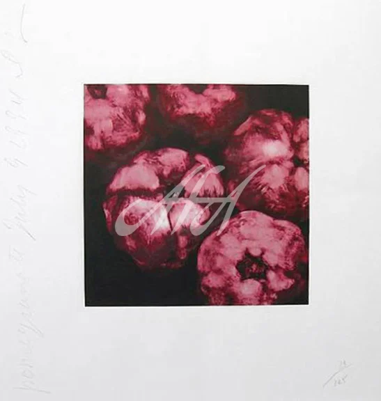 Donald Sultan - Pomegranates watermark.jpg