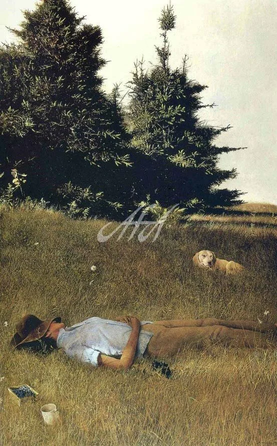 Wyeth_Napping watermark.jpg