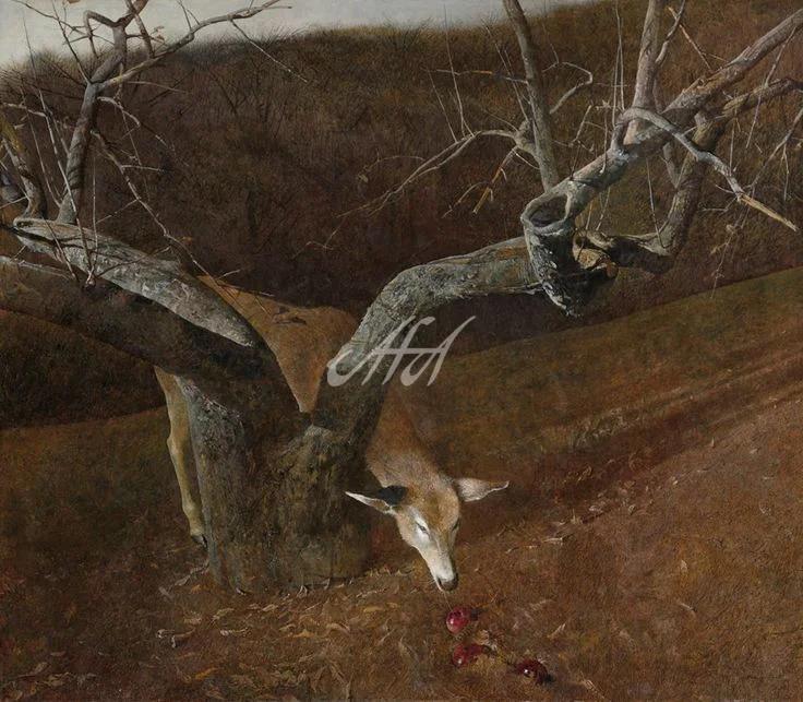 8c0ecc228cd24af46e44f8165cd2dcc9--andrew-wyeth-art-jamie-wyeth watermark.jpg