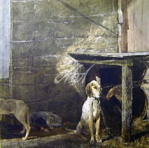 wyeth raccoon watermark.jpg