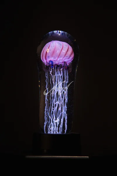 CRO_Jelly_LightPink watermark lores.jpg
