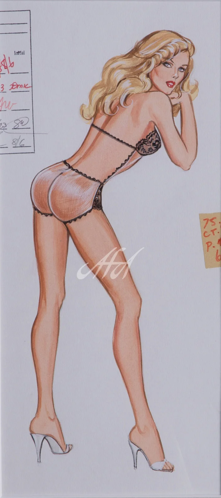 HCFM_Mellinger_bu9429_sheershort_framed LoRes watermark.jpg