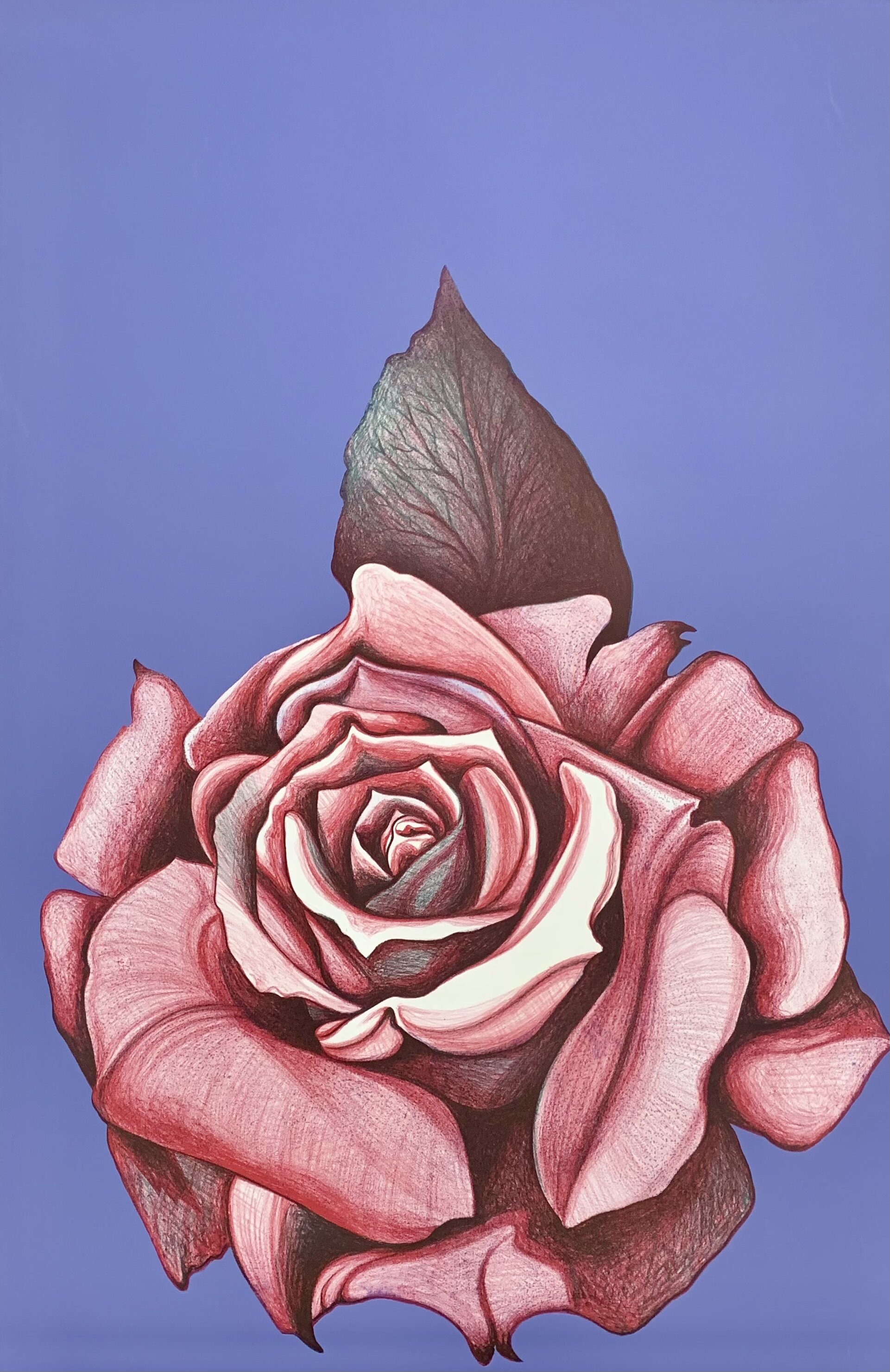 Nesbitt_Red Rose On Light Blue_22x33.jpg