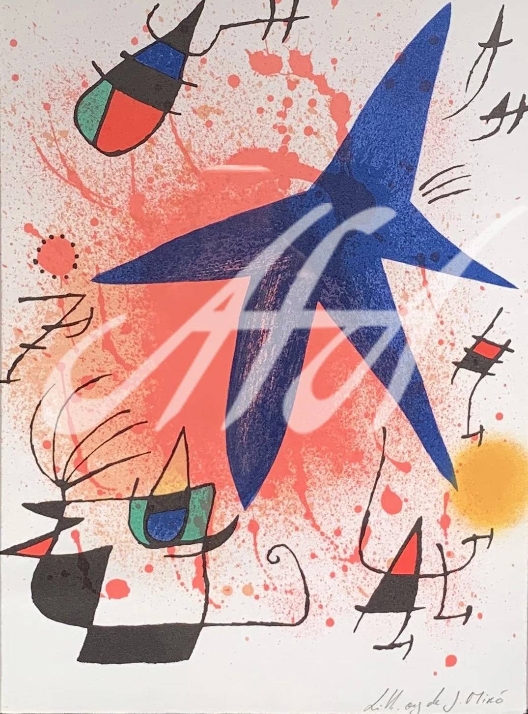 Miro 34.jpg