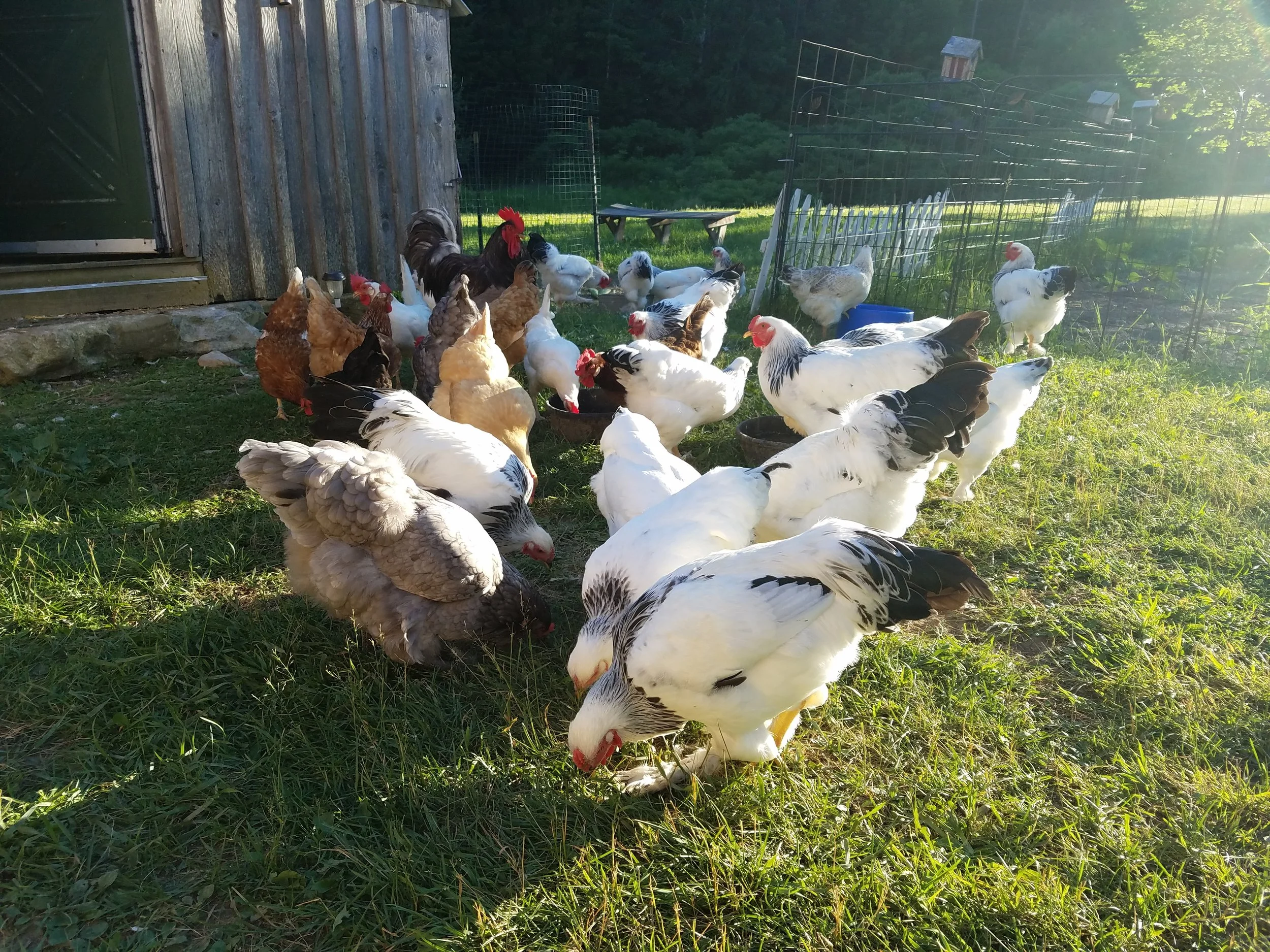 Breakfast makers...