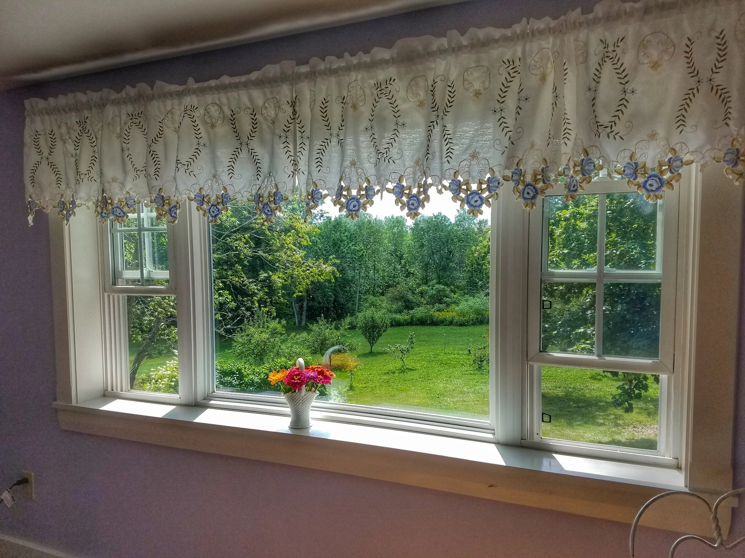 Orchard view from room