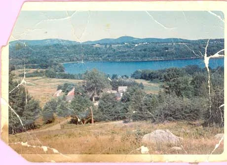 Farm 1965