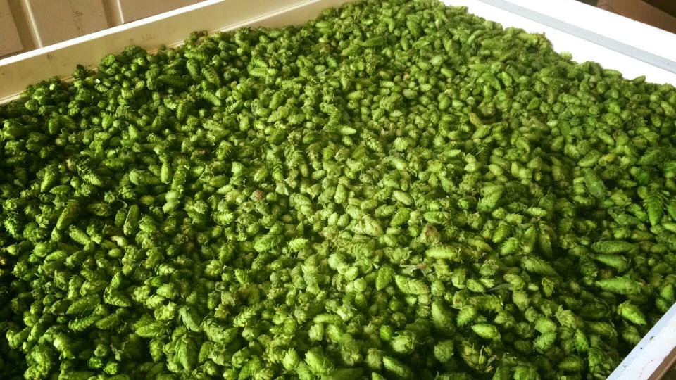 How Breweries Shape Rural Communities