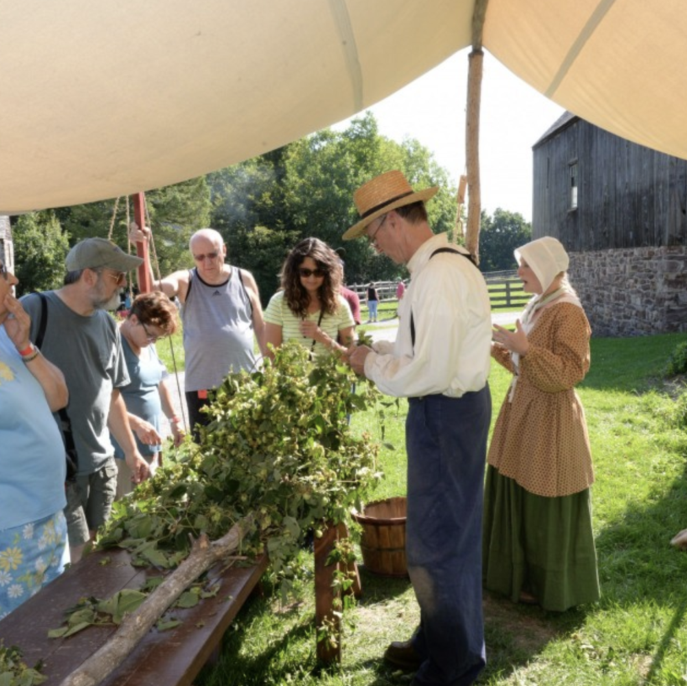 GCV&amp;M Annual Hop Harvest