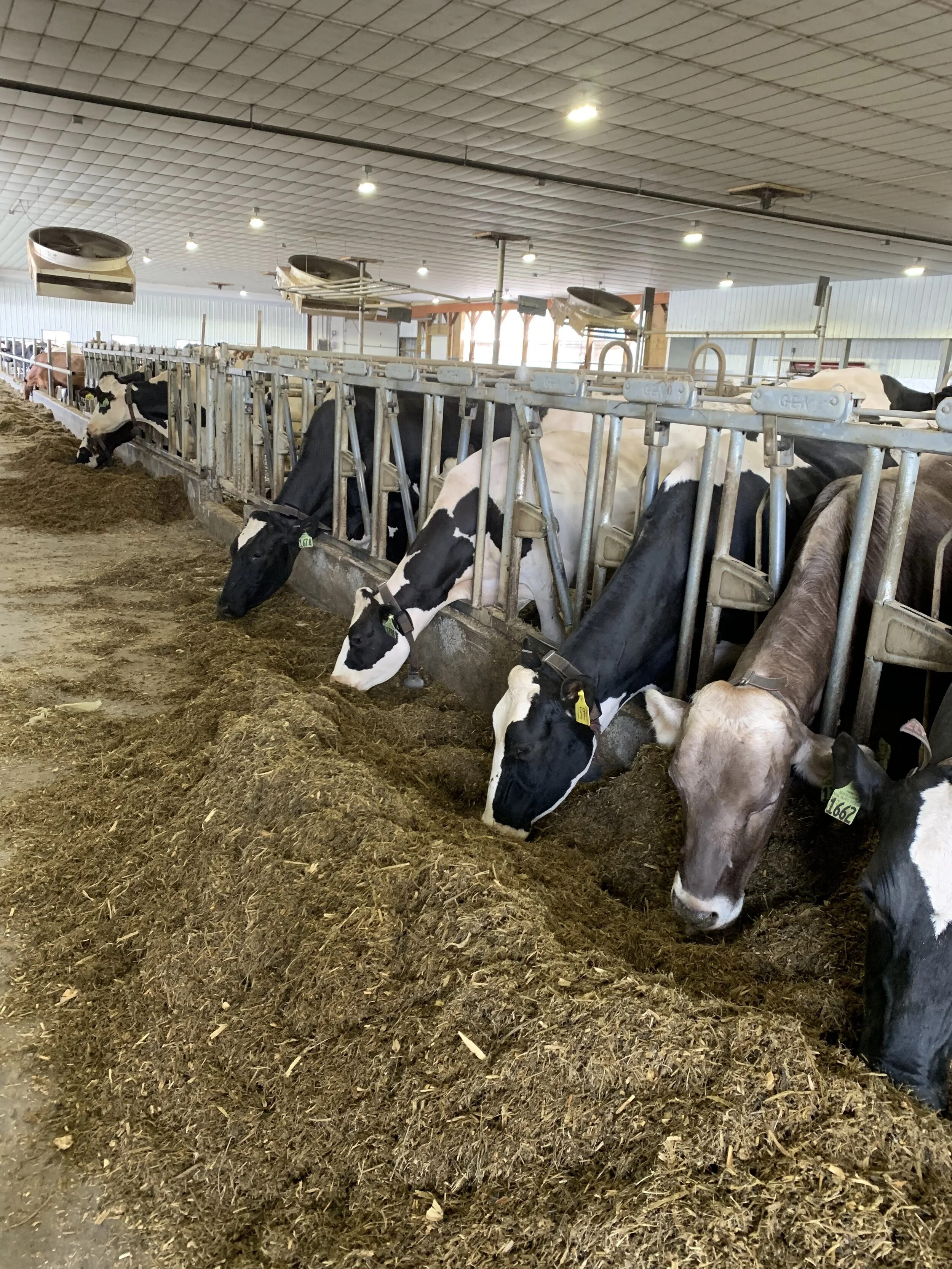 Leaders in Sustainable Agriculture