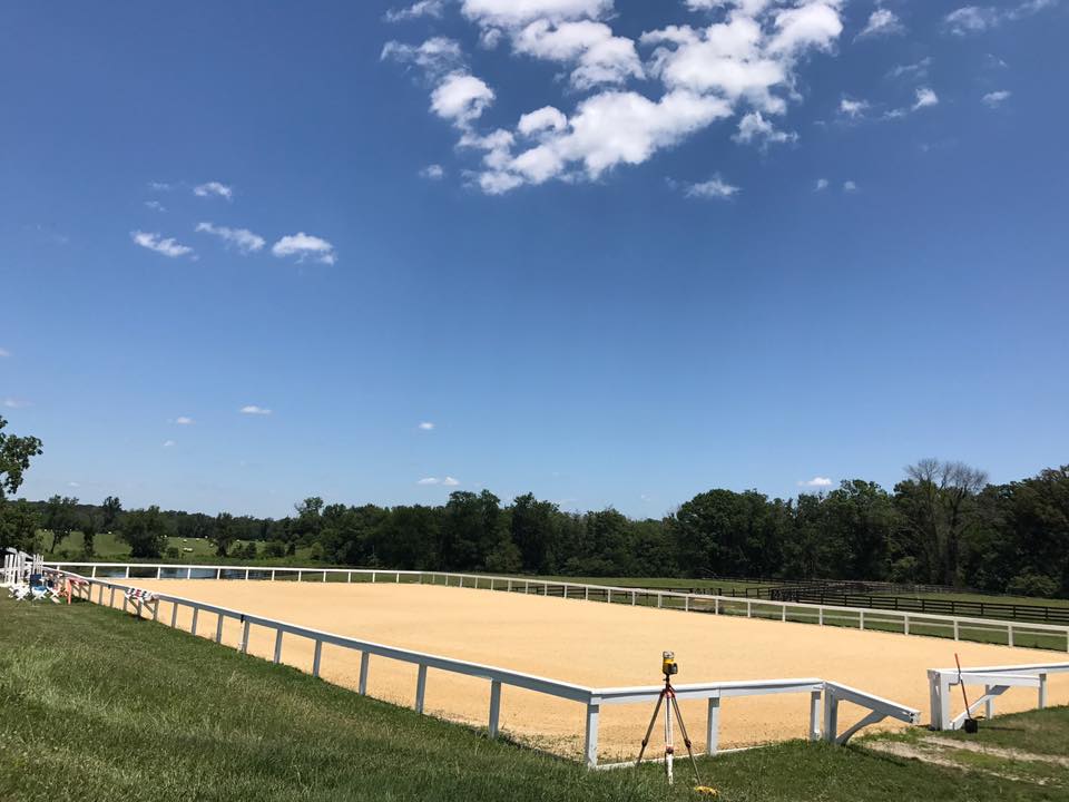 Waiting for Horses