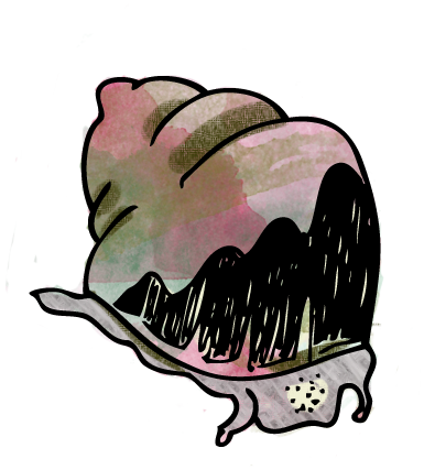 Doris.png