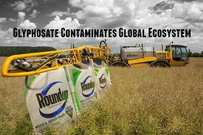 glyphosate-contaminates-global-ecosystem-800x534.jpg