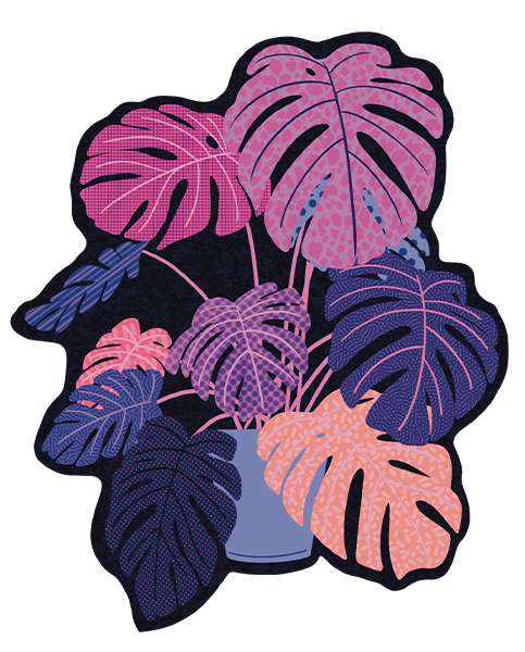 funkymonstera.png