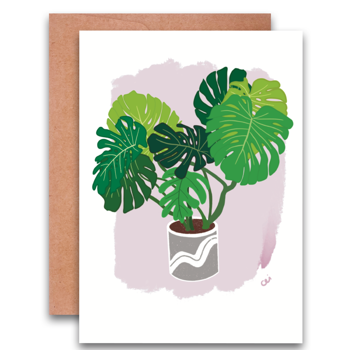 monstera.png