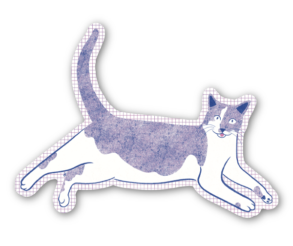 blepcat.png