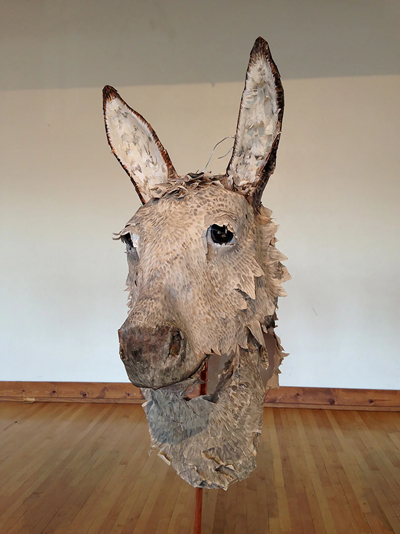 IMG_5280-burro copy.jpg