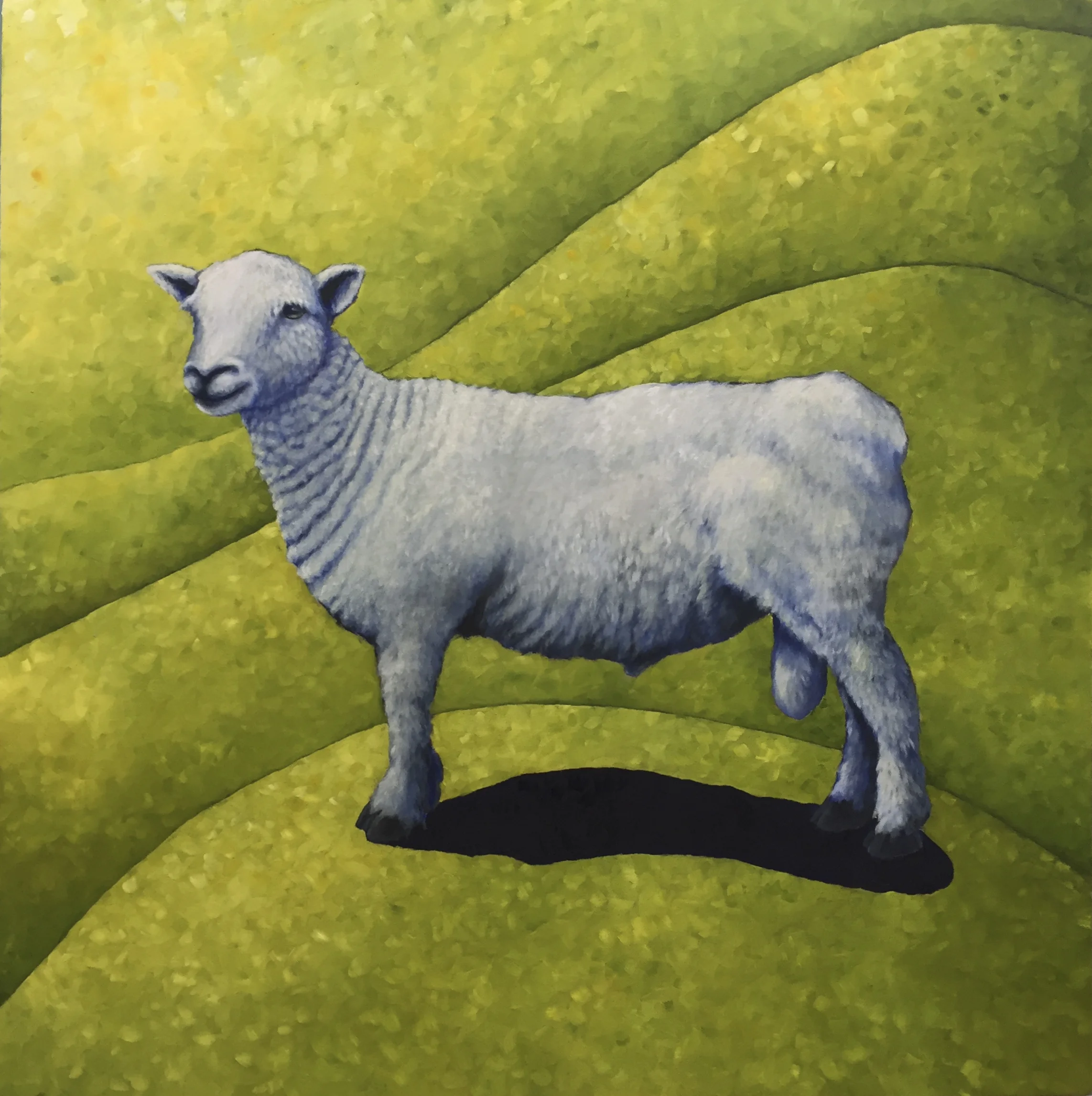 IMG_2484 SOUTHDOWN.jpg