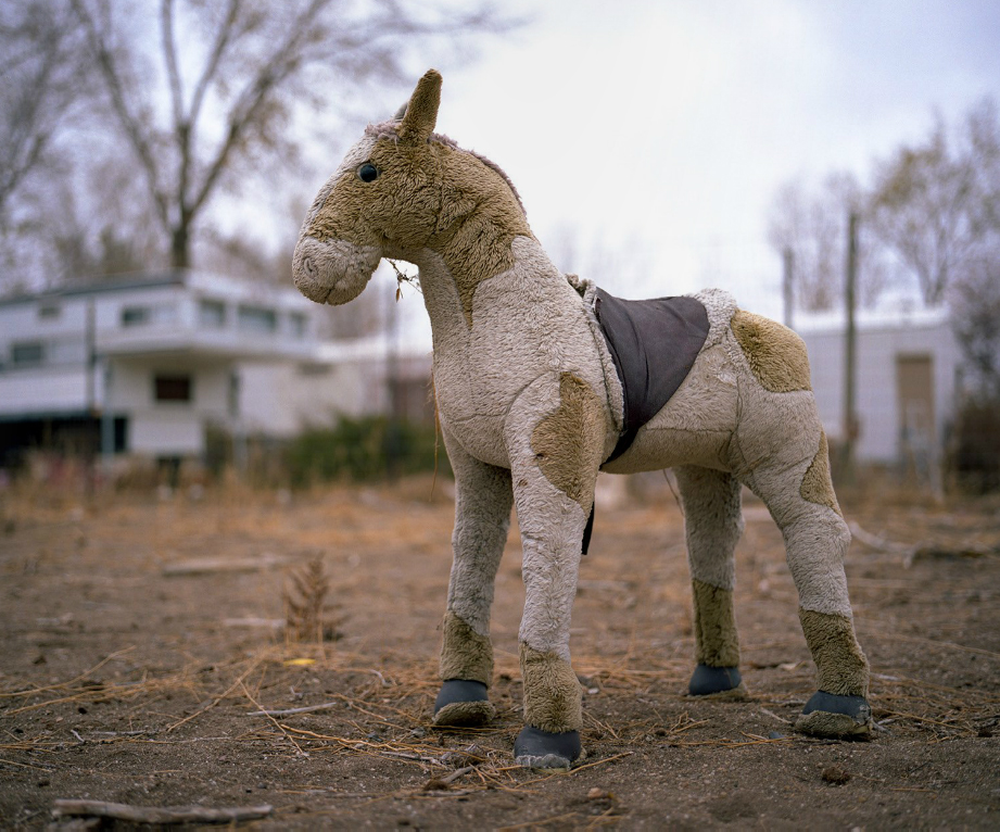 "A Little horse" Alisha Funkhouser