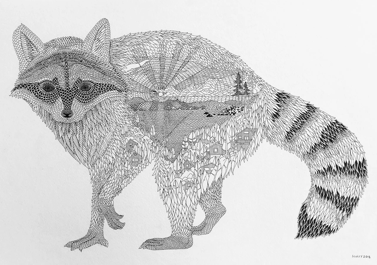 Racoon by Claire Scully