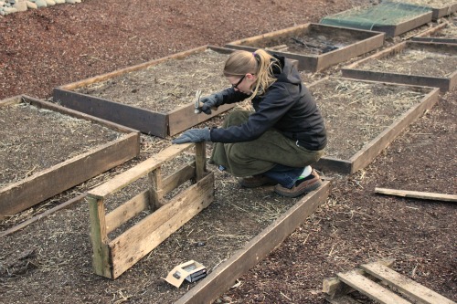 how-to-build-a-wooden-pallet-planter.jpg
