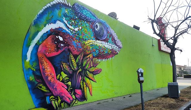 This chameleon no longer stands alone on this wall but this photo is too good to pass on. .
.
.
Mural by @djn3ff in Mar Vista off Venice Blvd. 🌍 Find it on the map! --&gt; MuralMapLA.com .
.
#muralmapla #mural #muralart #urbanwalls #urbanart #street