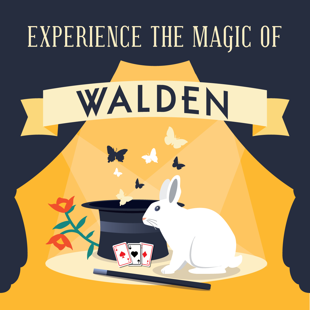 website_Experience-the-Magic.png