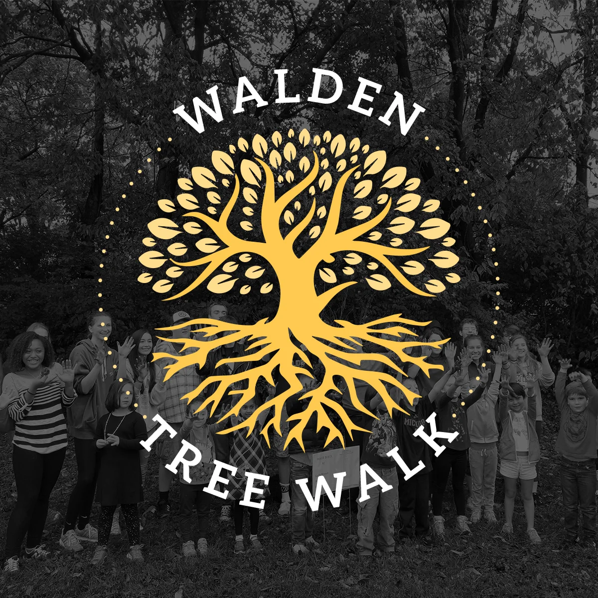 WALDEN TREE WALK