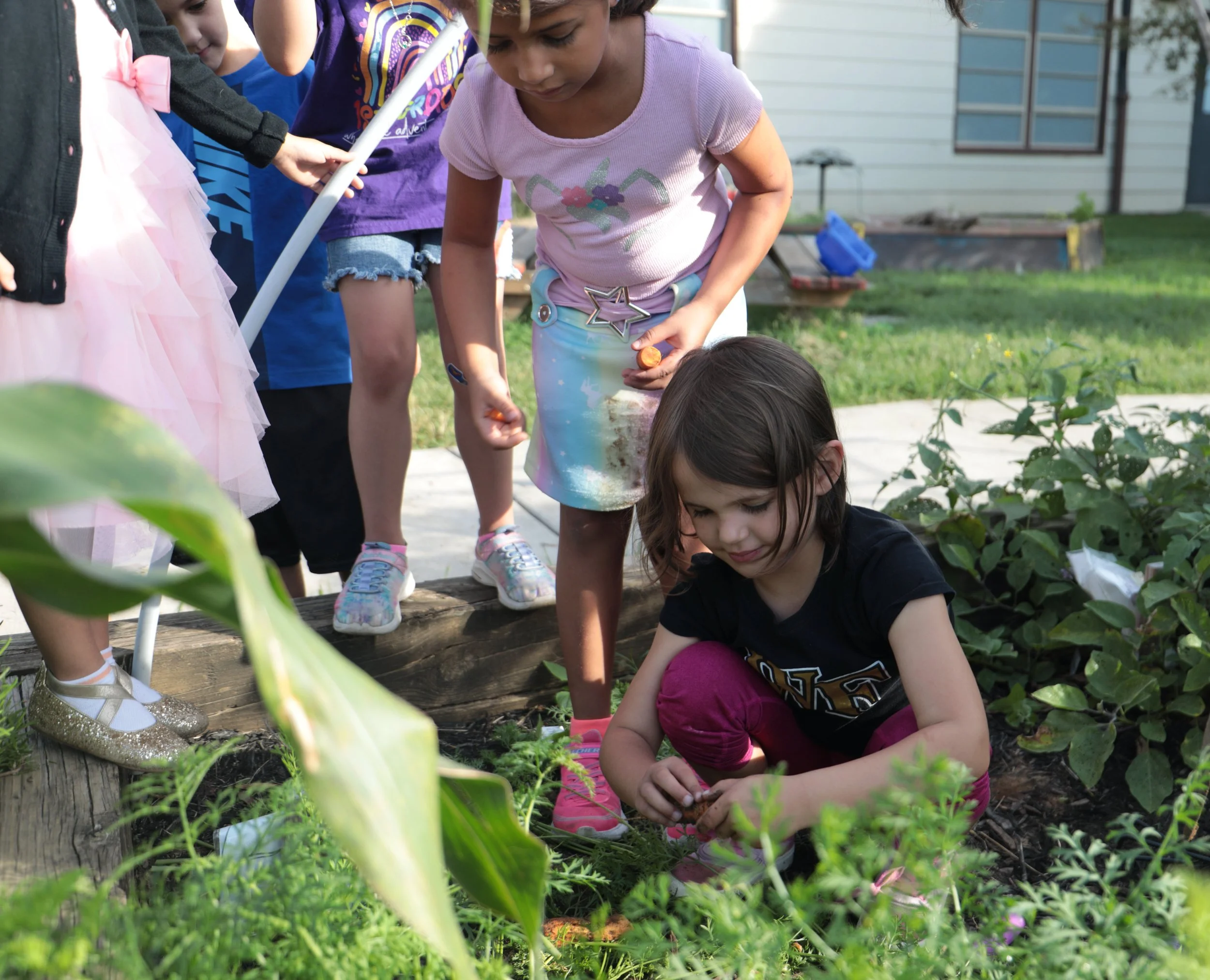 Walden School Kindergarten experience