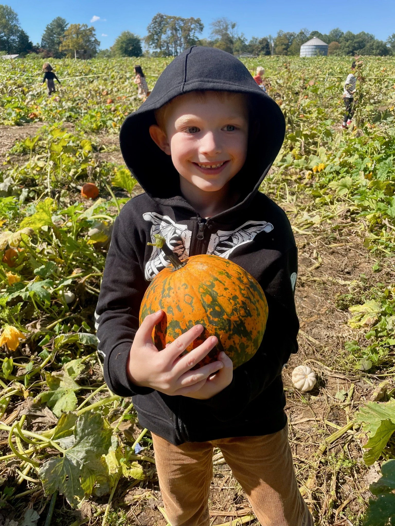 🍂 Happy Fall, y&rsquo;all! 🎃 Our Kindergarten and 1st Grade students had the best time at Cornucopia Farm, enjoying a true pumpkin patch adventure. #gowalden #waldenlowerschool #bewalden #waldenschool #happyfall