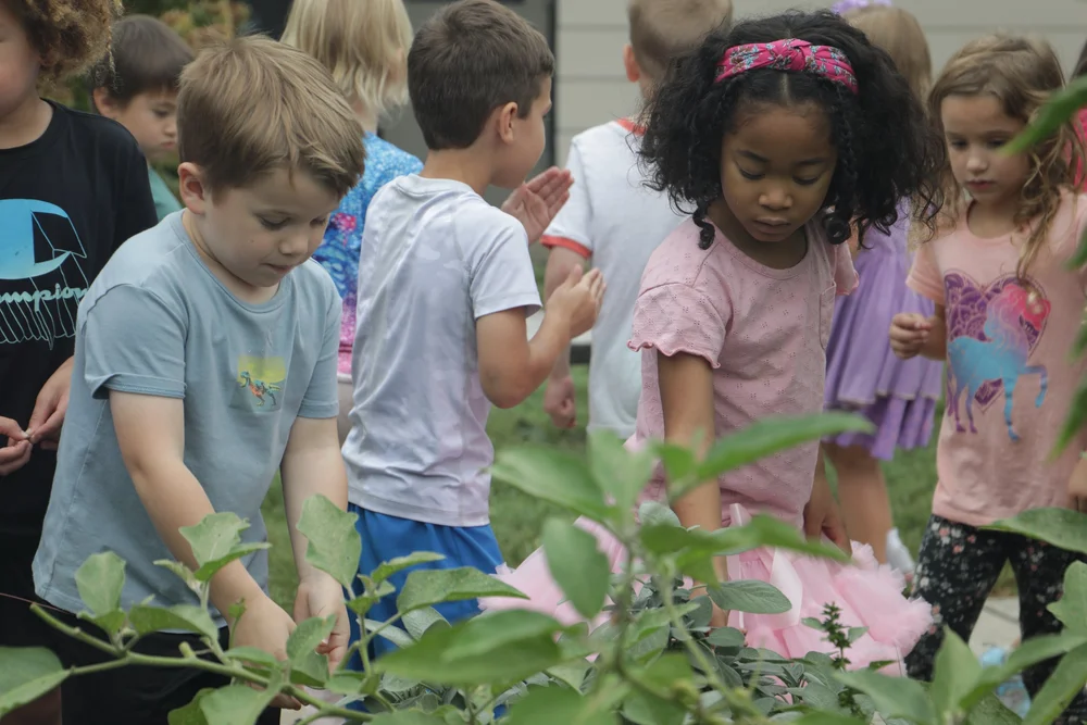 Walden School learning environment