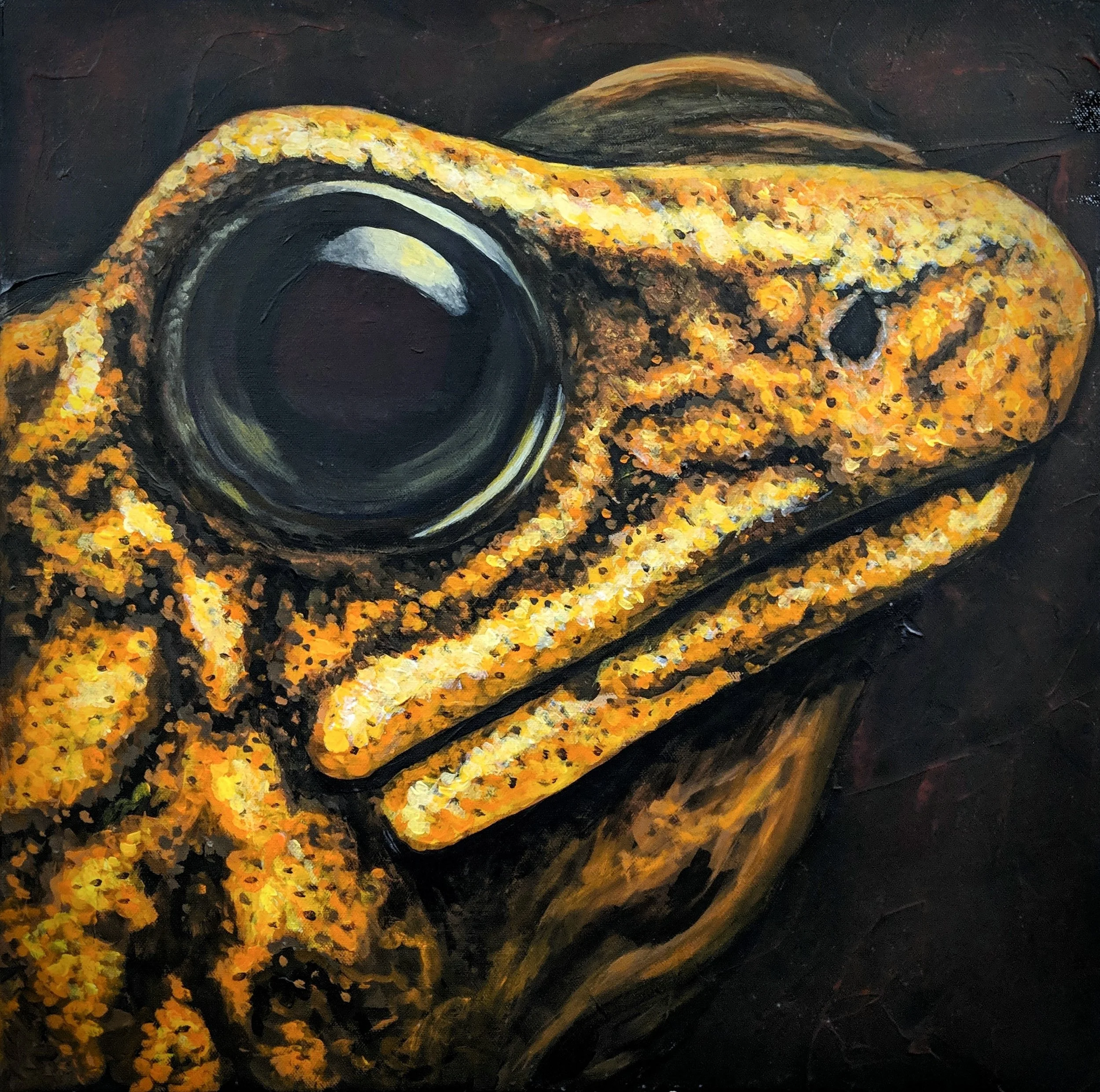 Oophaga sylvatica ’Diablito’ - Little Devil Poison Frog Acrylic paint on 20”x20” canvas