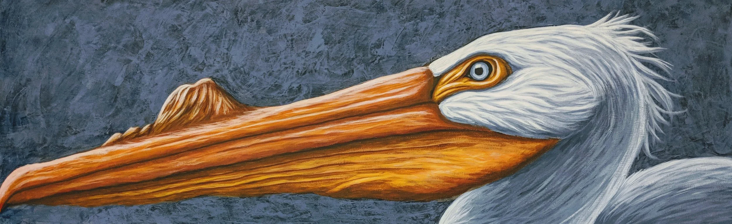 Pelecanus erythrorhynchos White Pelican Acrylic paint on 36”x12” canvas