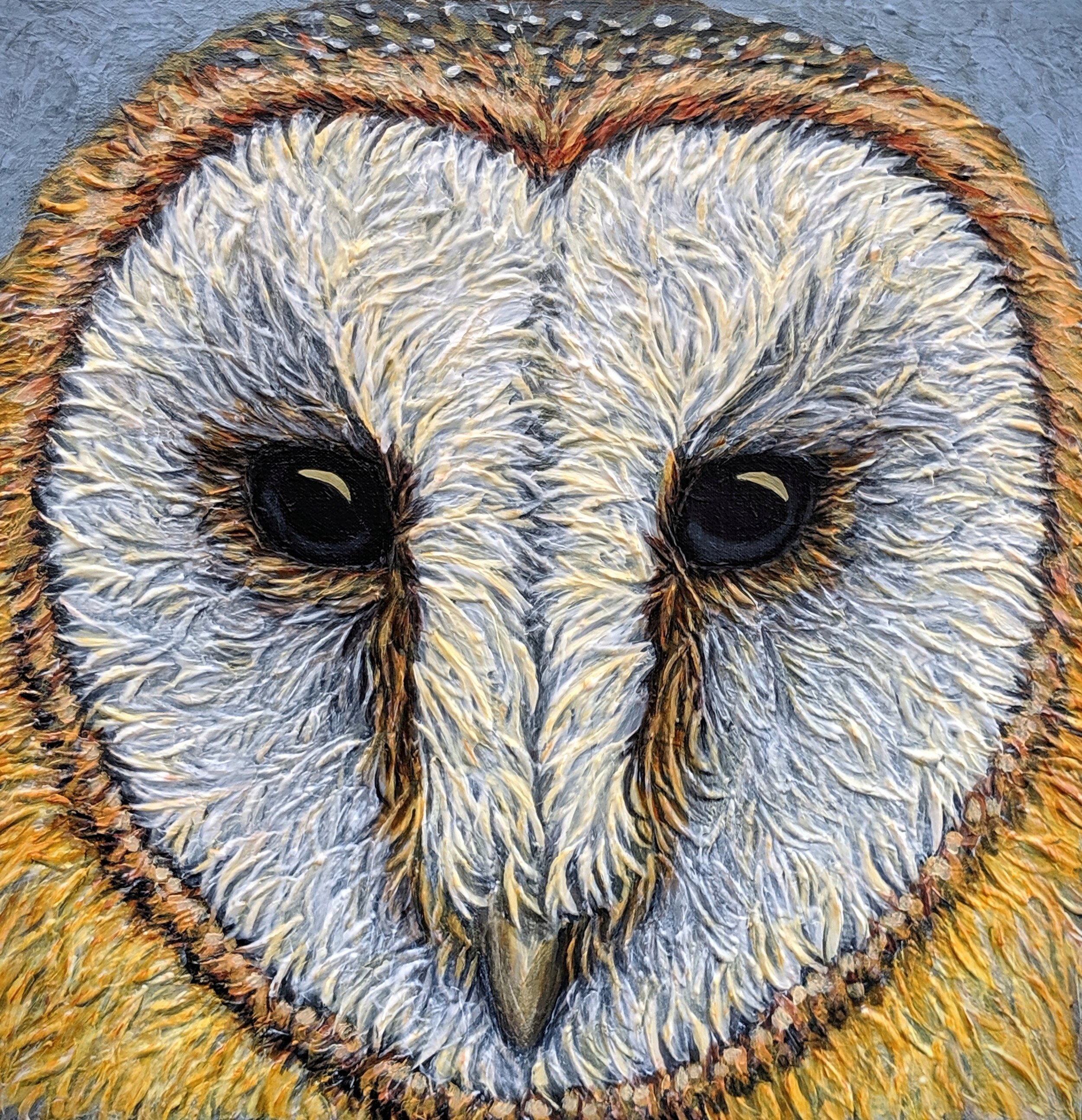 Tyto alba Barn Owl Acrylic paint on 20”x20” canvas
