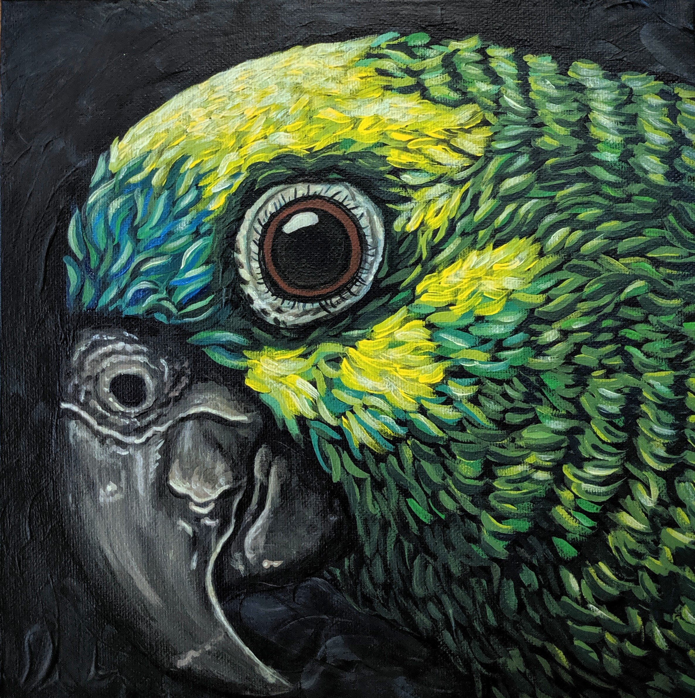 A Parrot With Grey And Green Feathers, Bird Head. Digital Art by Gon�alo  Barriga - Fine Art America