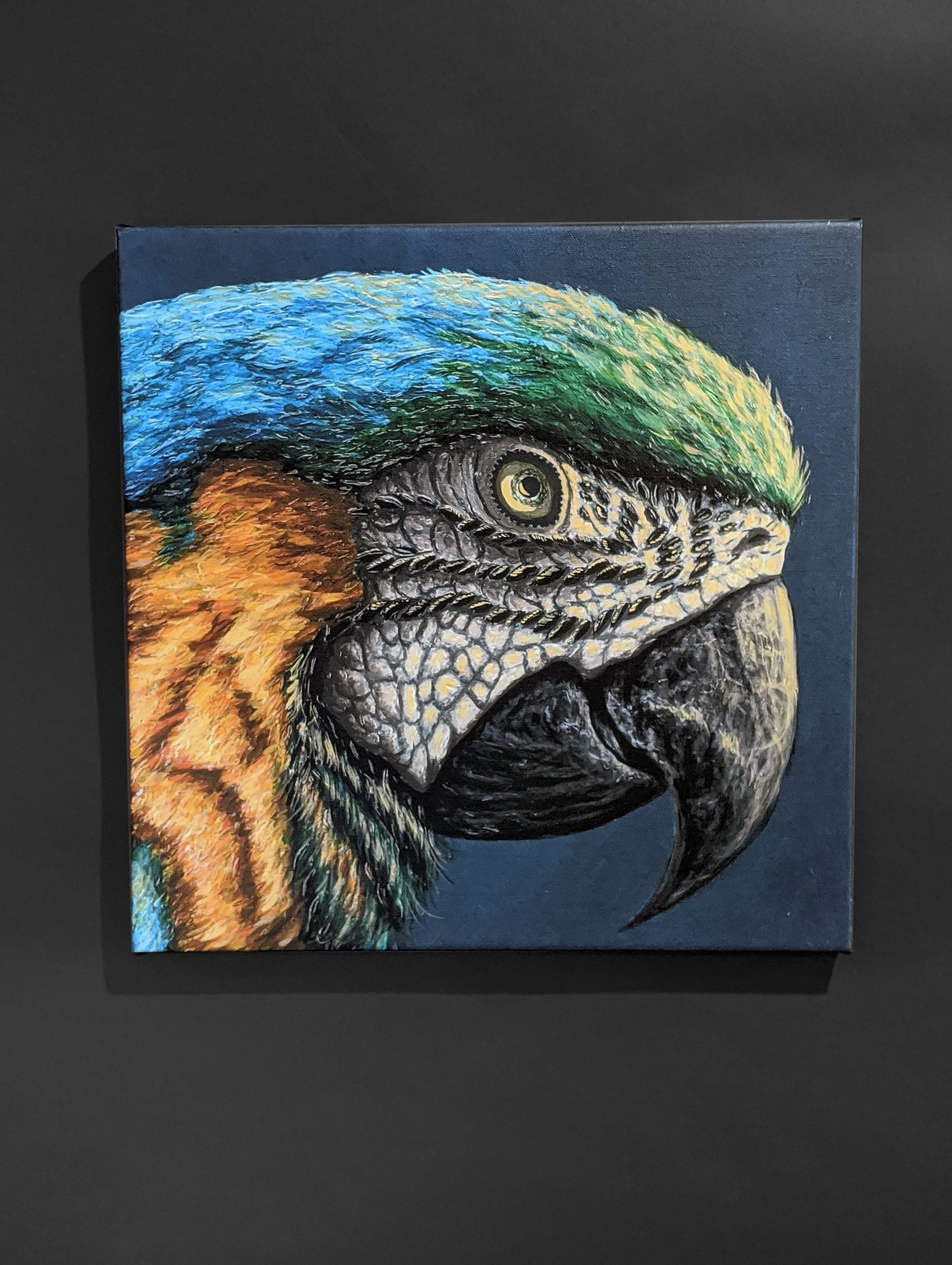 Macaw_canvas_dark.jpg