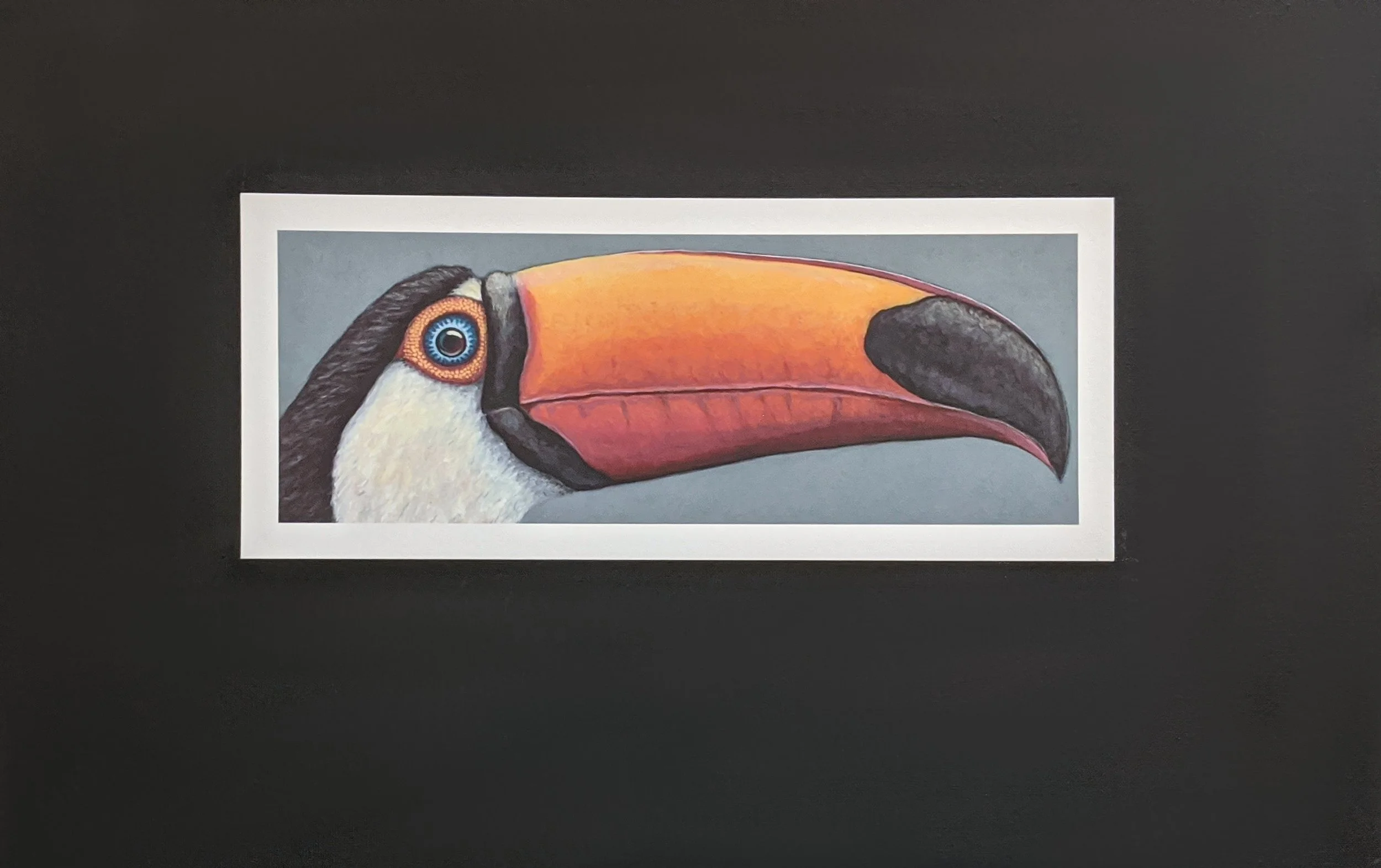 Toucan_medium_final.jpg