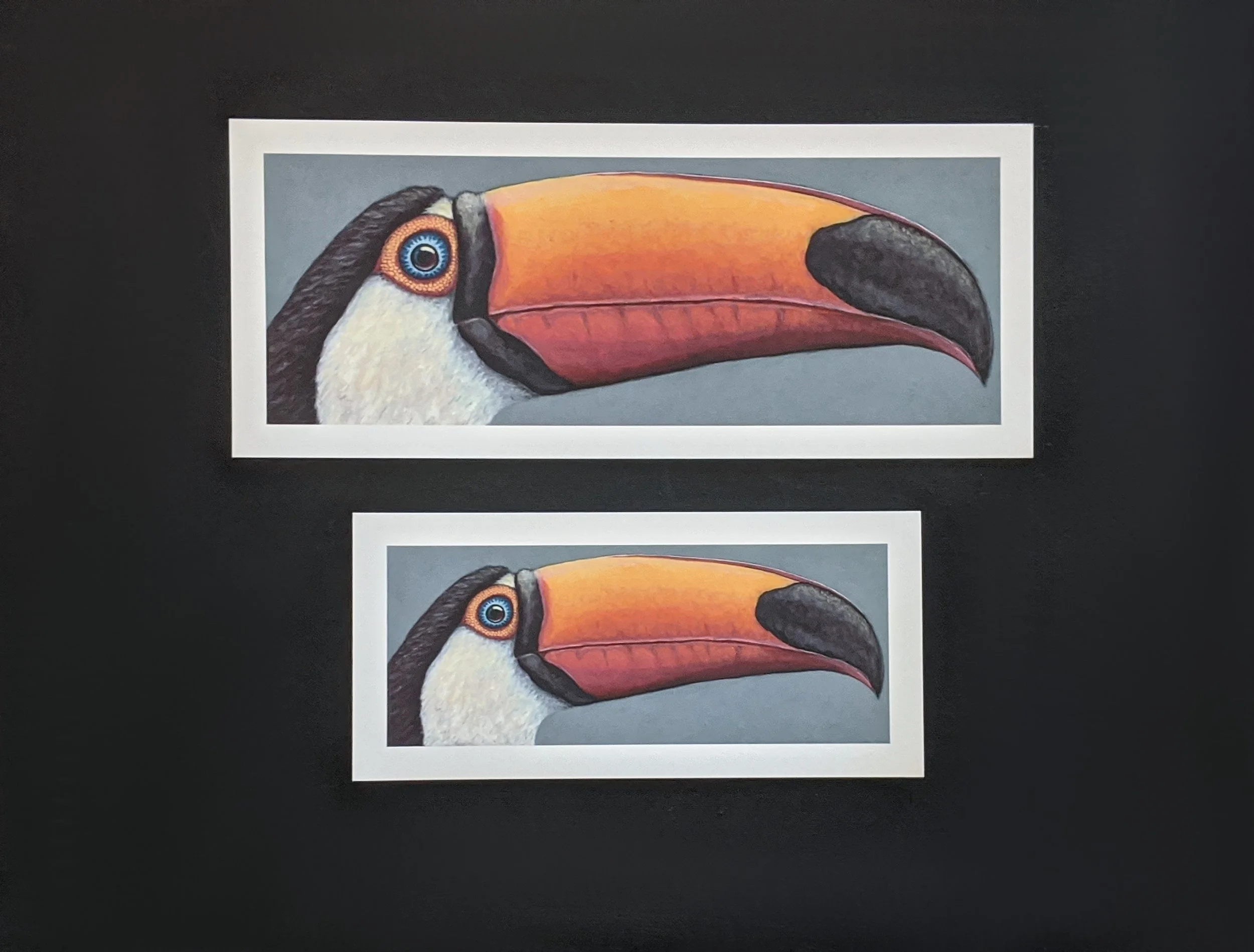 Toucan_bothsizes_final.jpg