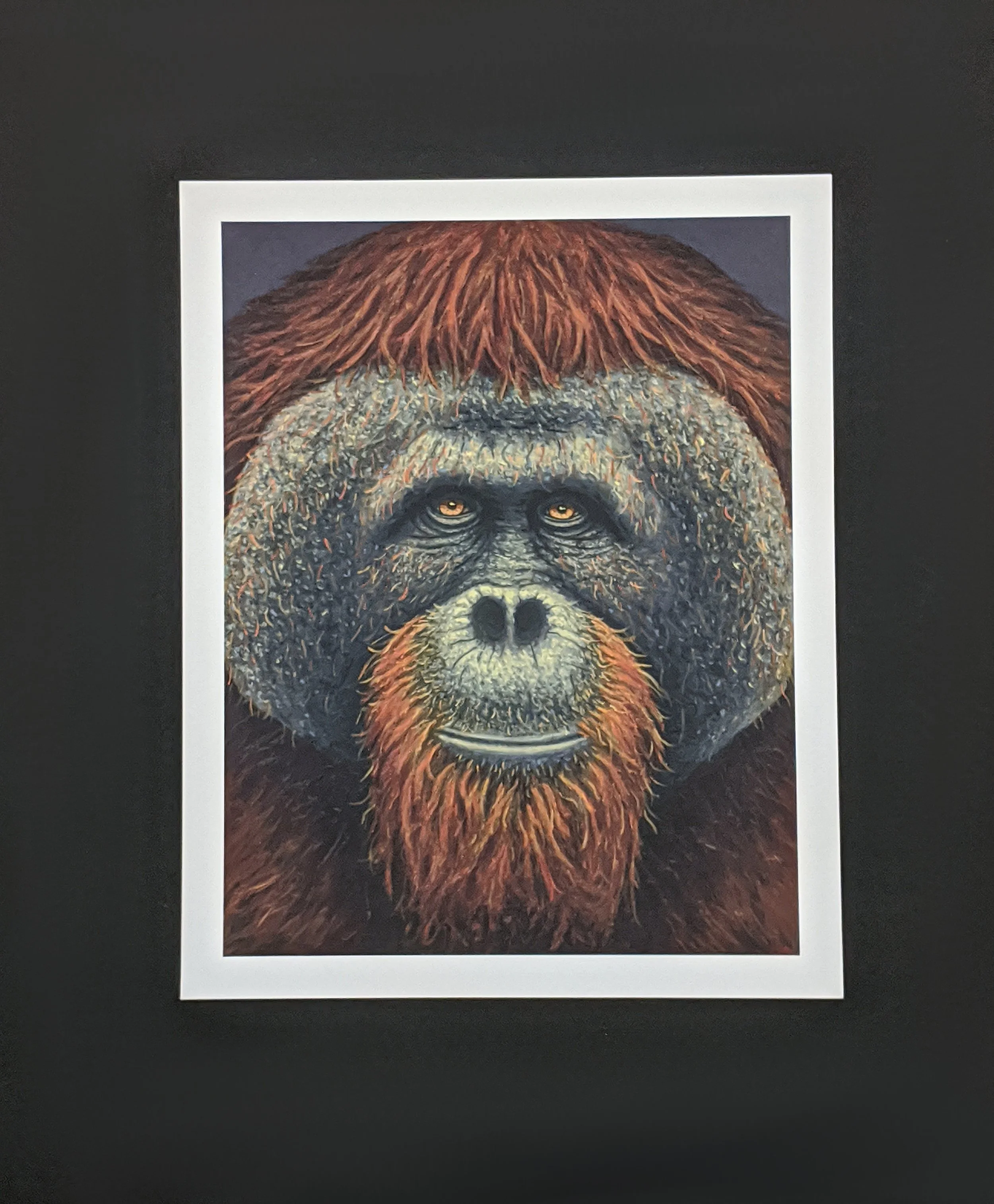 Orang_medium_final.jpg